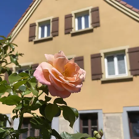 아파트 Alte Schmiede Ellrichshausen 2